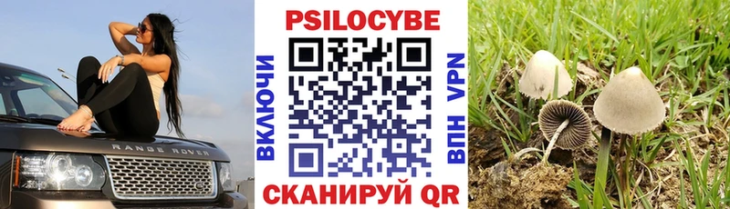 Псилоцибиновые грибы Magic Shrooms  kraken рабочий сайт  Россошь  купить наркотик 